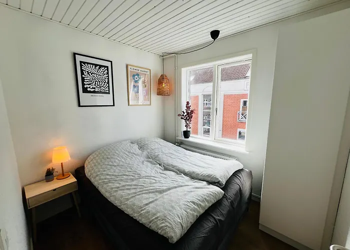 Cozy Flats Silkeborg - 1Mth